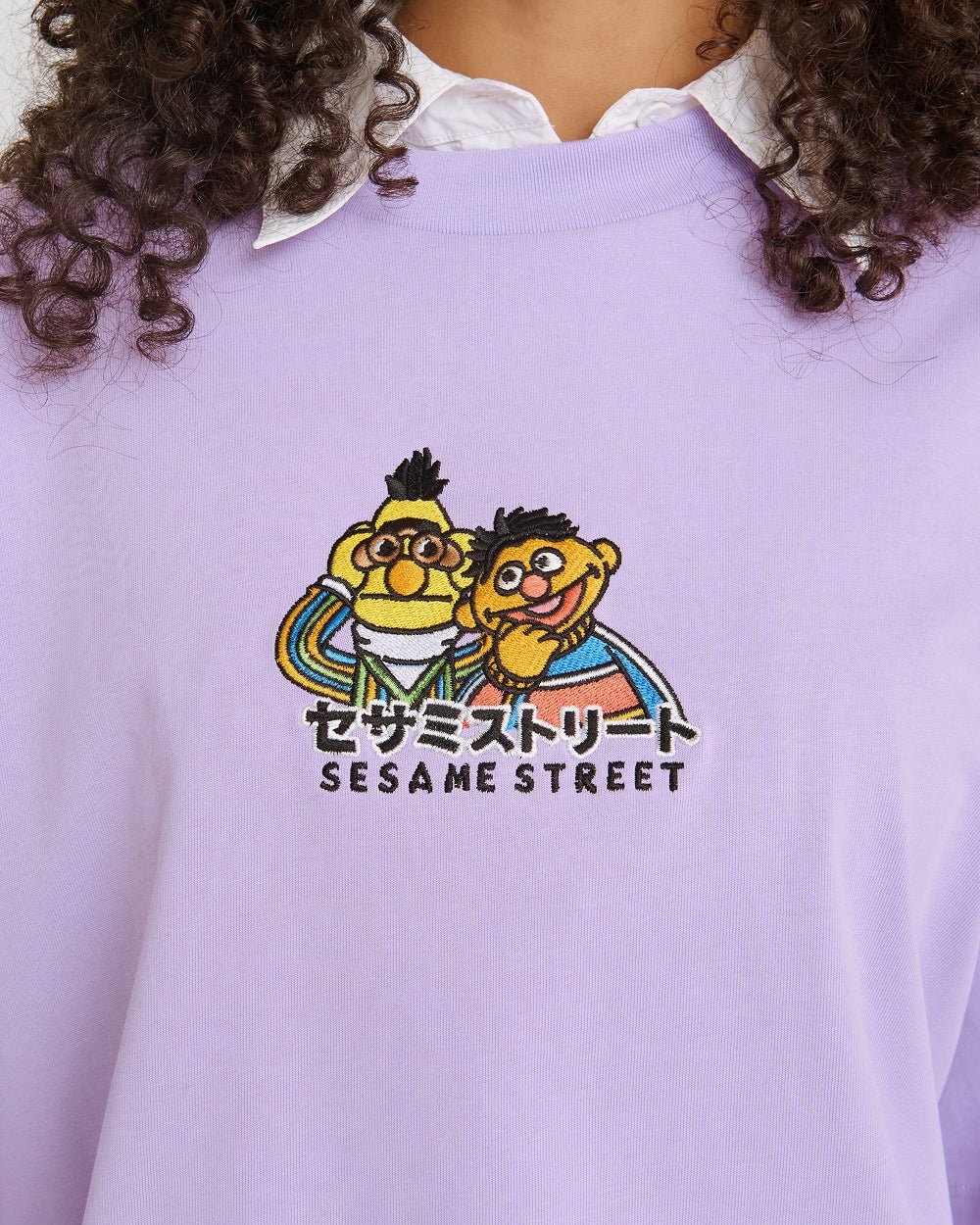 Bert and Ernie Tokyo Oversized Embroidered T-Shirt - Unisex 100% Combed Cotton
